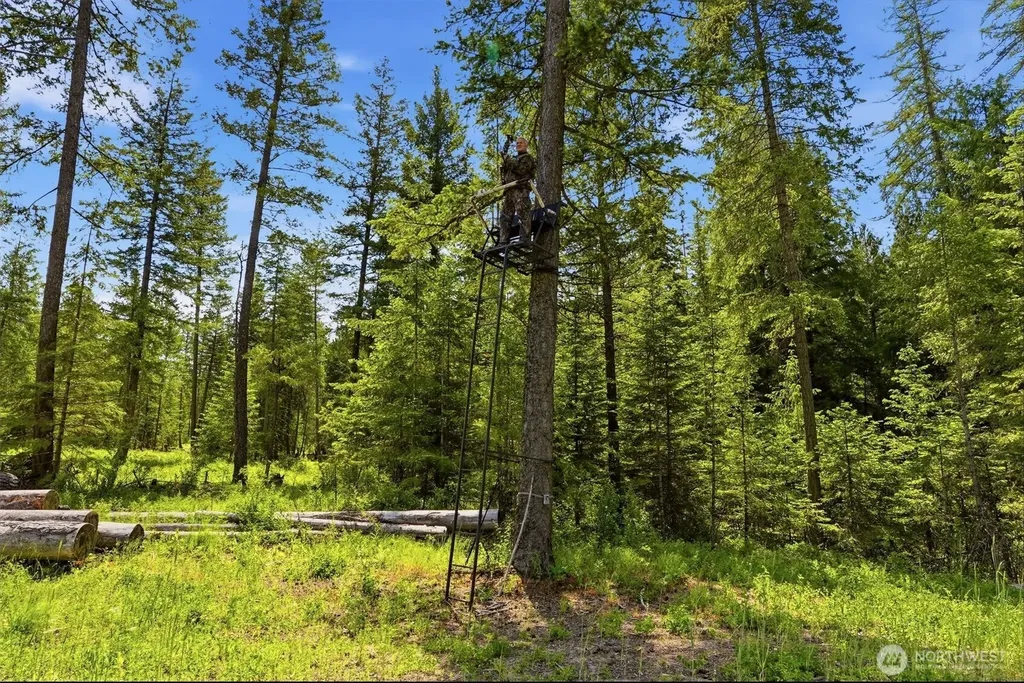 Deer Park WA 99006