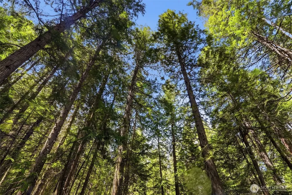 Deer Park WA 99006