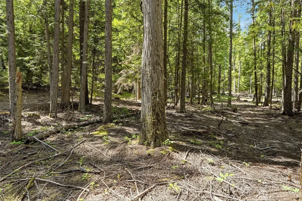 Deer Park WA 99006