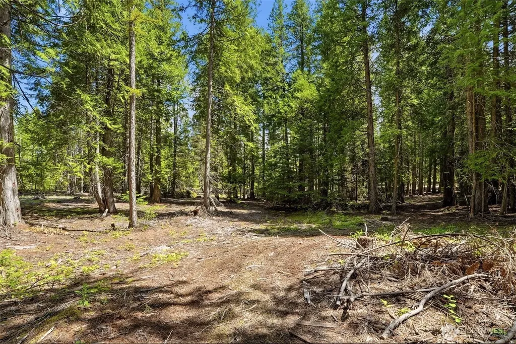 Deer Park WA 99006