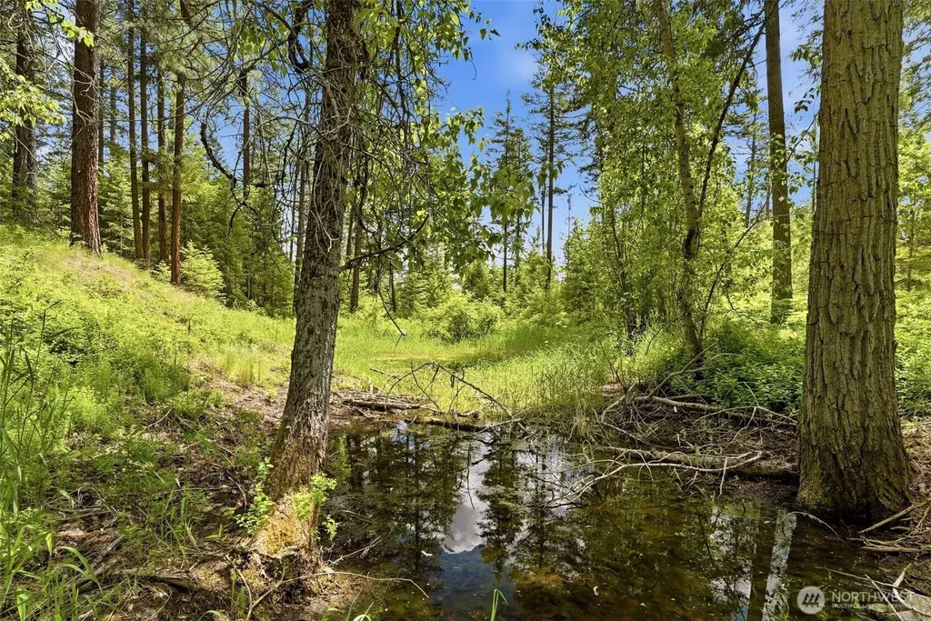 Deer Park WA 99006