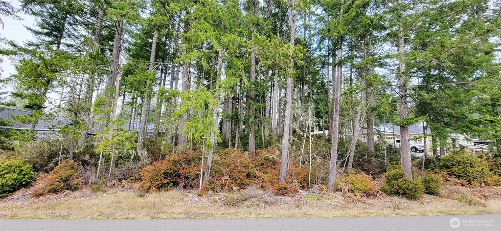 350 E Vine Maple Lane Union WA 98592