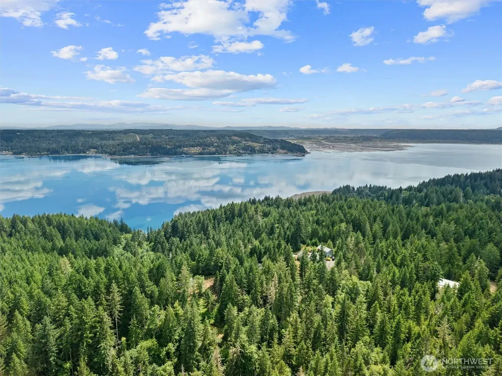 1090 NE Patton Tahuya WA 98588