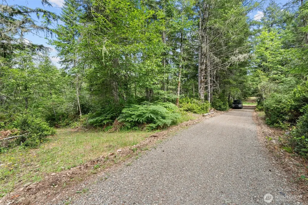 1090 NE Patton Tahuya WA 98588