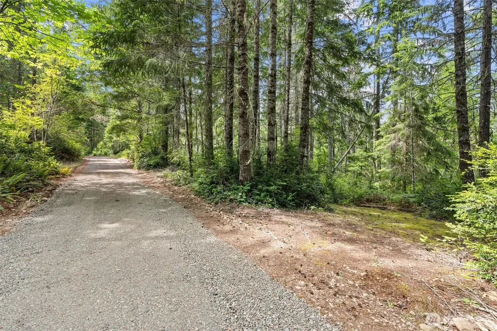 1090 NE Patton Tahuya WA 98588