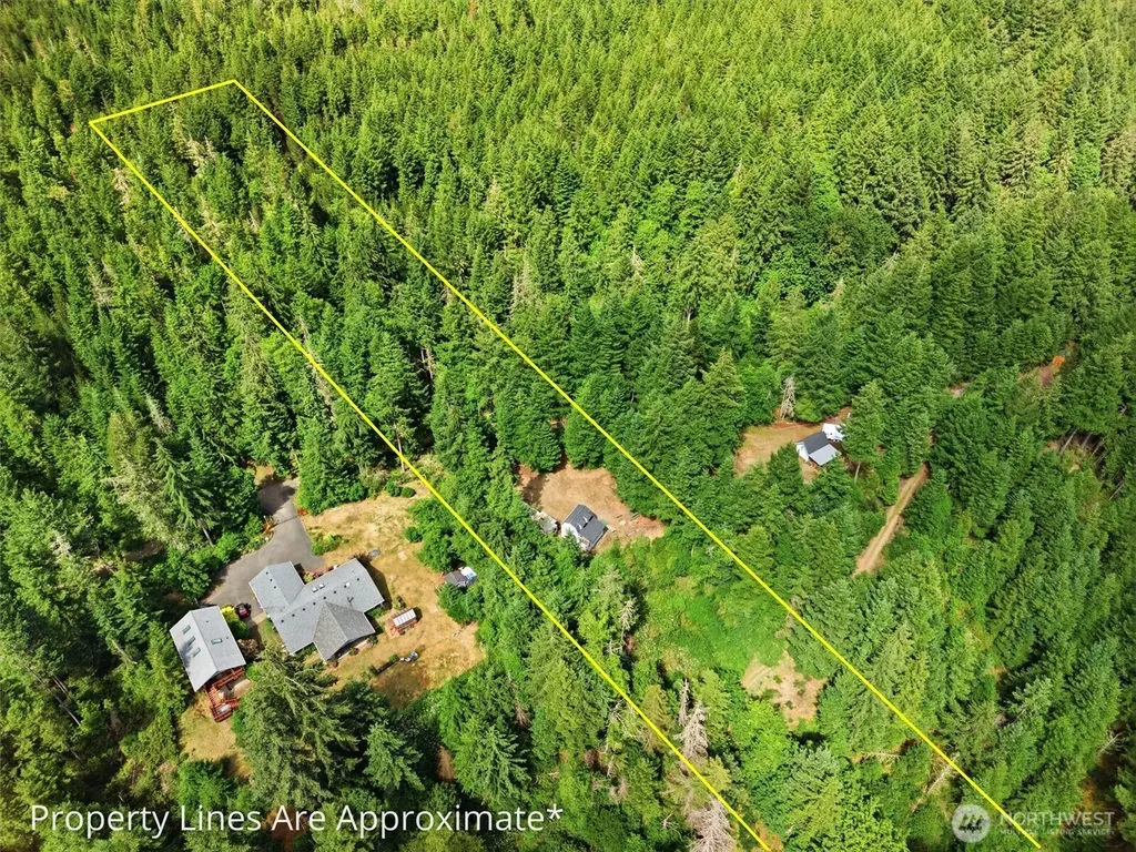 1090 NE Patton Tahuya WA 98588