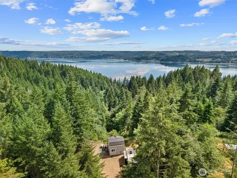 1090 NE Patton Tahuya WA 98588