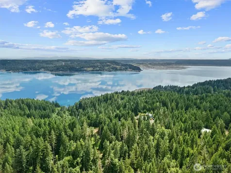 1090 NE Patton Tahuya WA 98588