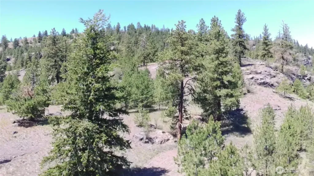 132 W Cayuse Mtn Road Tonasket WA 98855