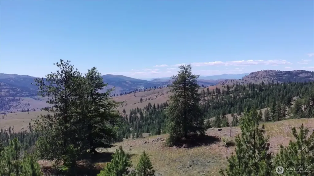 132 W Cayuse Mtn Road Tonasket WA 98855