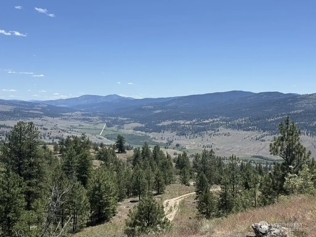 132 W Cayuse Mtn Road Tonasket WA 98855