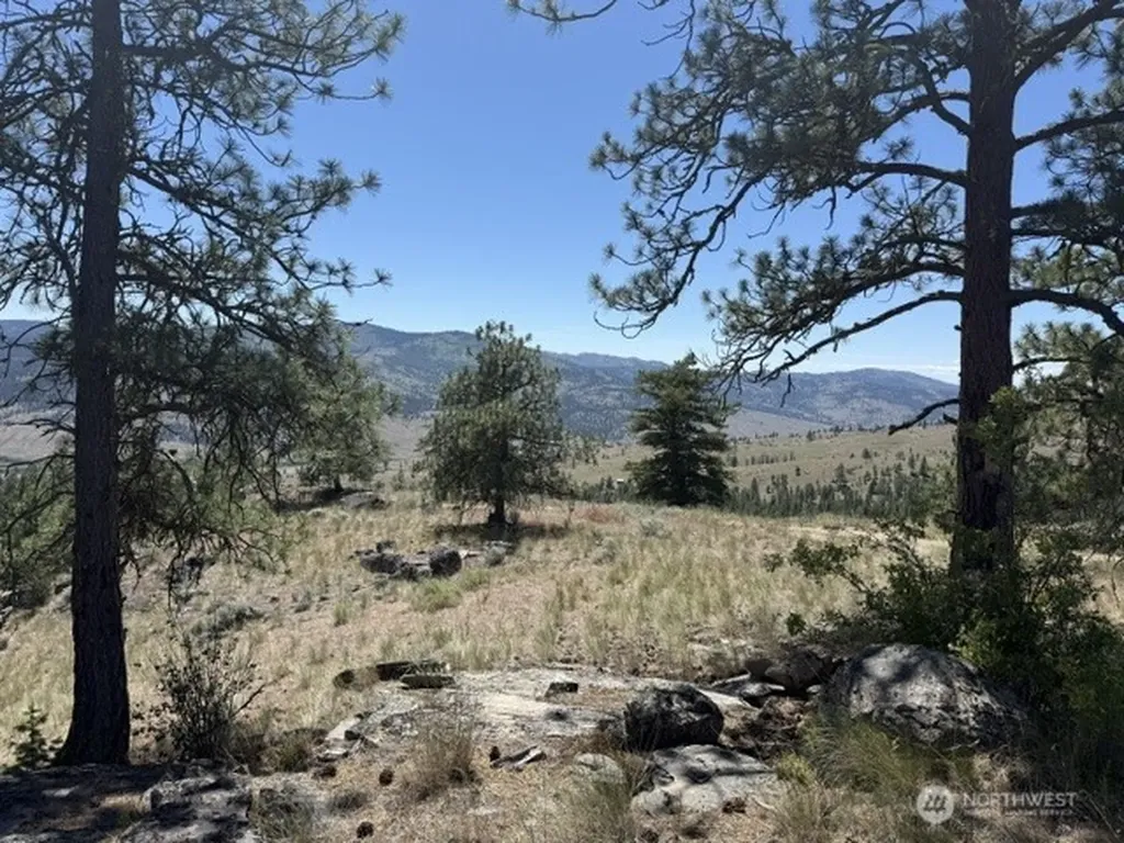 132 W Cayuse Mtn Road Tonasket WA 98855