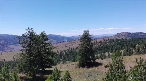 132 W Cayuse Mtn Road Tonasket WA 98855