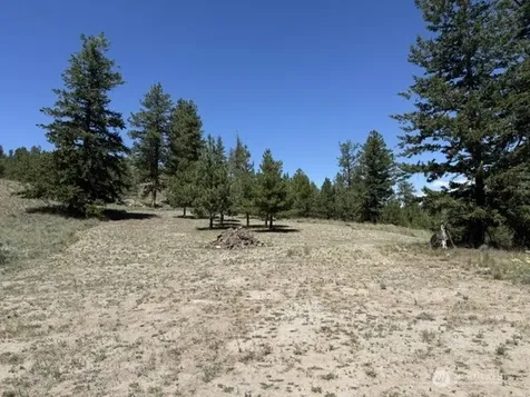 132 W Cayuse Mtn Road Tonasket WA 98855