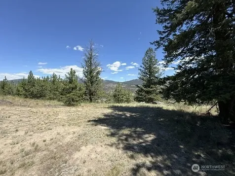 132 W Cayuse Mtn Road Tonasket WA 98855