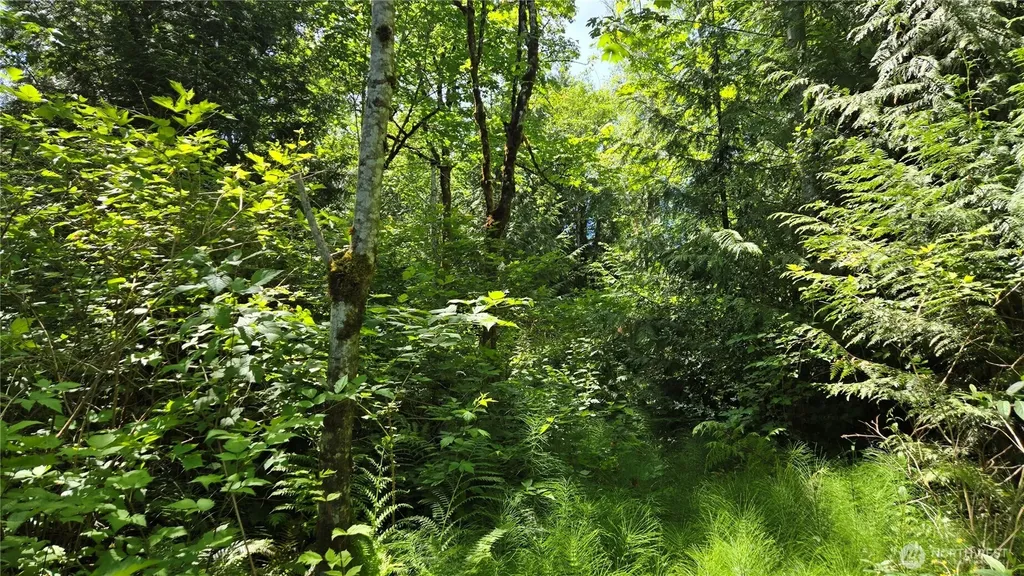 3628 Creek View Court SE Port Orchard WA 98366