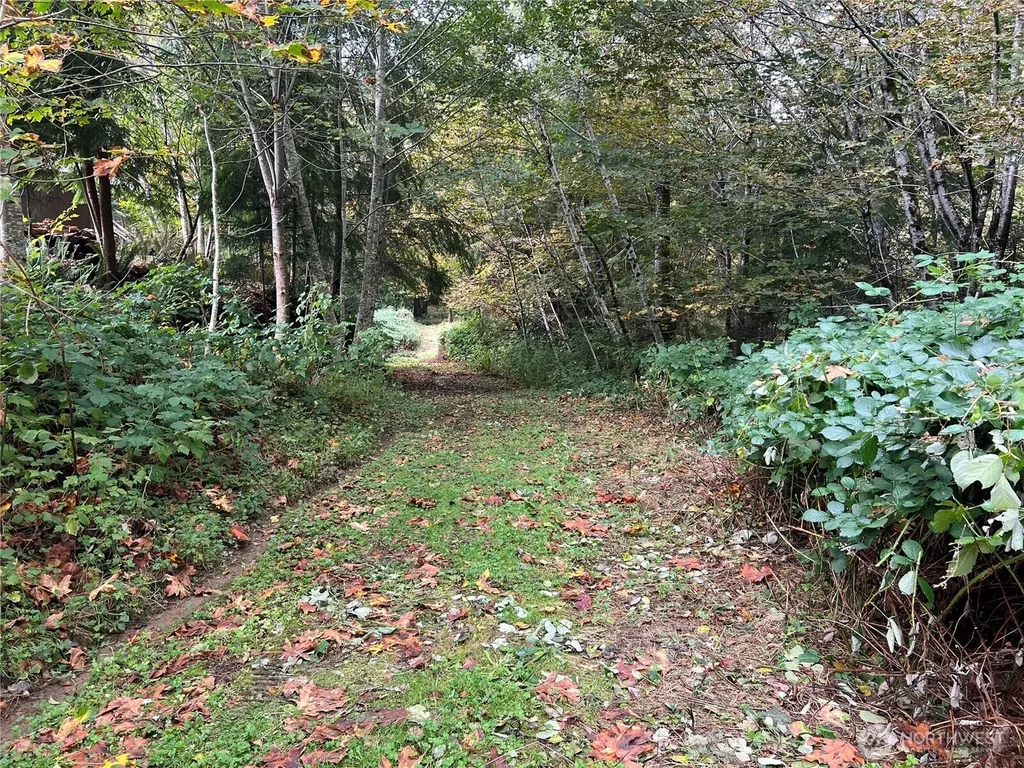 6467 Us Highway 101 Amanda Park WA 98526