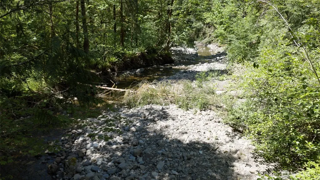 6467 Us Highway 101 Amanda Park WA 98526