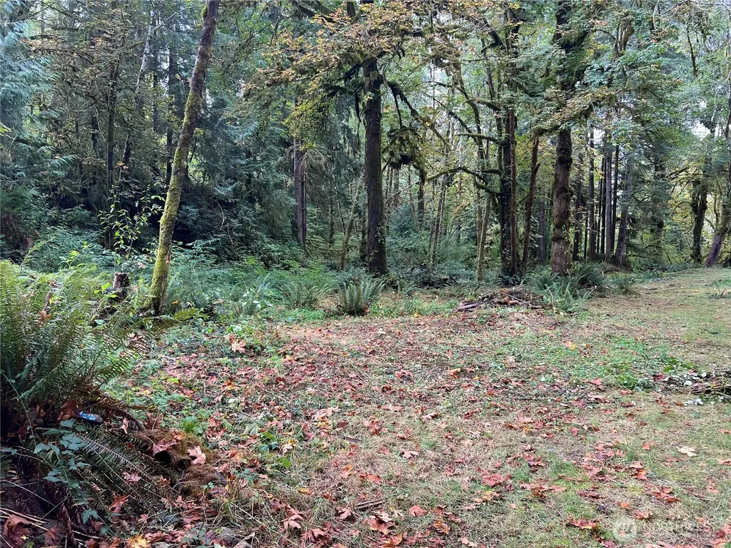 6467 Us Highway 101 Amanda Park WA 98526