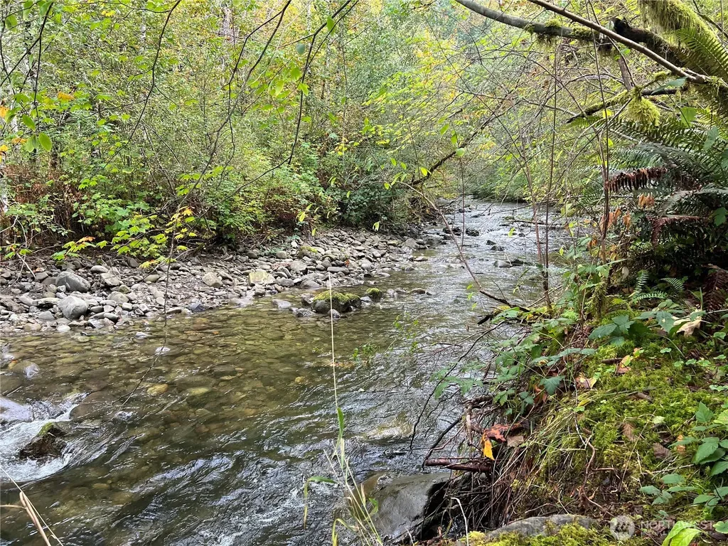 6467 Us Highway 101 Amanda Park WA 98526