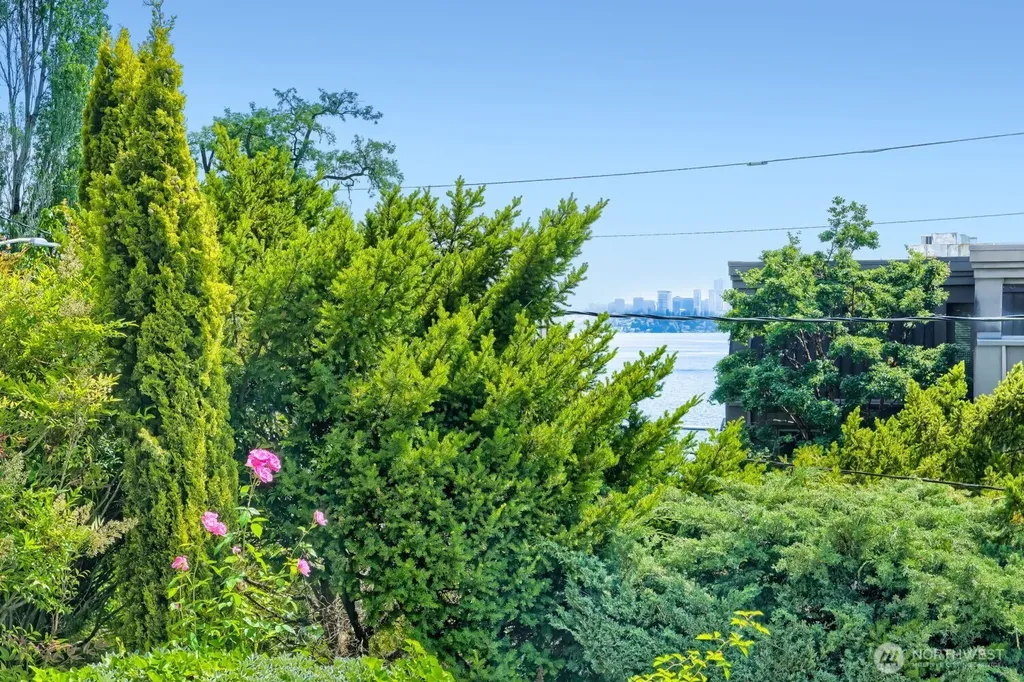 317 Lakeside Avenue S Seattle WA 98144