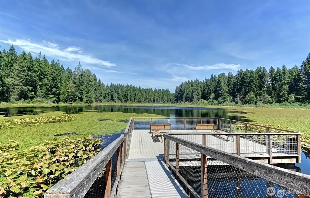 24311 SE 41st Place Sammamish WA 98029
