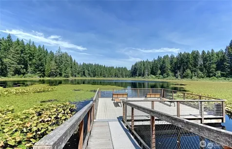 24311 SE 41st Place Sammamish WA 98029