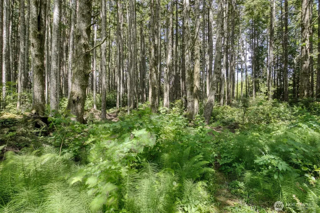 2782 State Route 109 Ocean Shores WA 98569