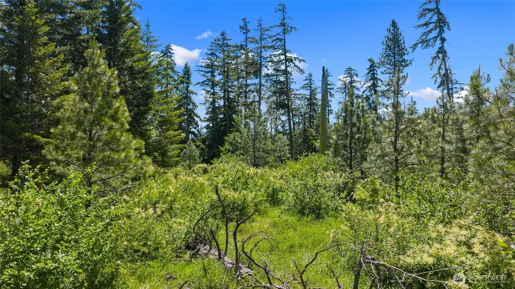 261 Morning Star Lane Cle Elum WA 98922
