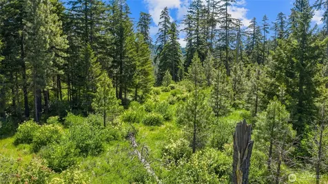 261 Morning Star Lane Cle Elum WA 98922