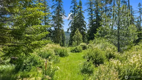 261 Morning Star Lane Cle Elum WA 98922