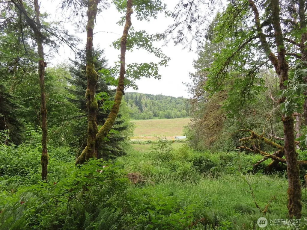 21720 Zenkner Valley Road SW Centralia WA 98531