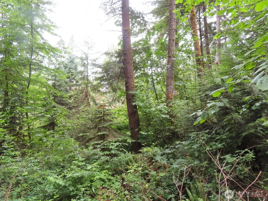 21720 Zenkner Valley Road SW Centralia WA 98531