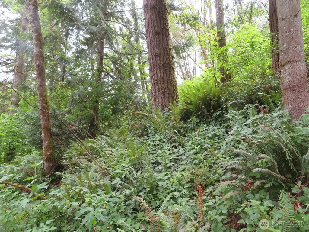 21720 Zenkner Valley Road SW Centralia WA 98531