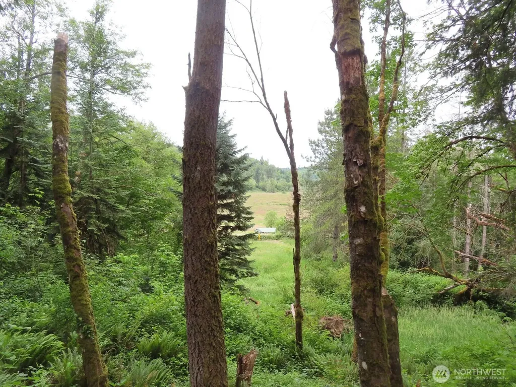 21720 Zenkner Valley Road SW Centralia WA 98531