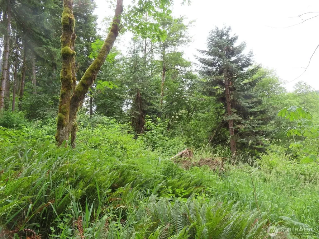21720 Zenkner Valley Road SW Centralia WA 98531
