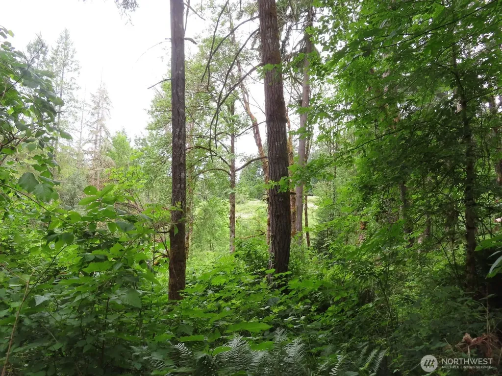 21720 Zenkner Valley Road SW Centralia WA 98531