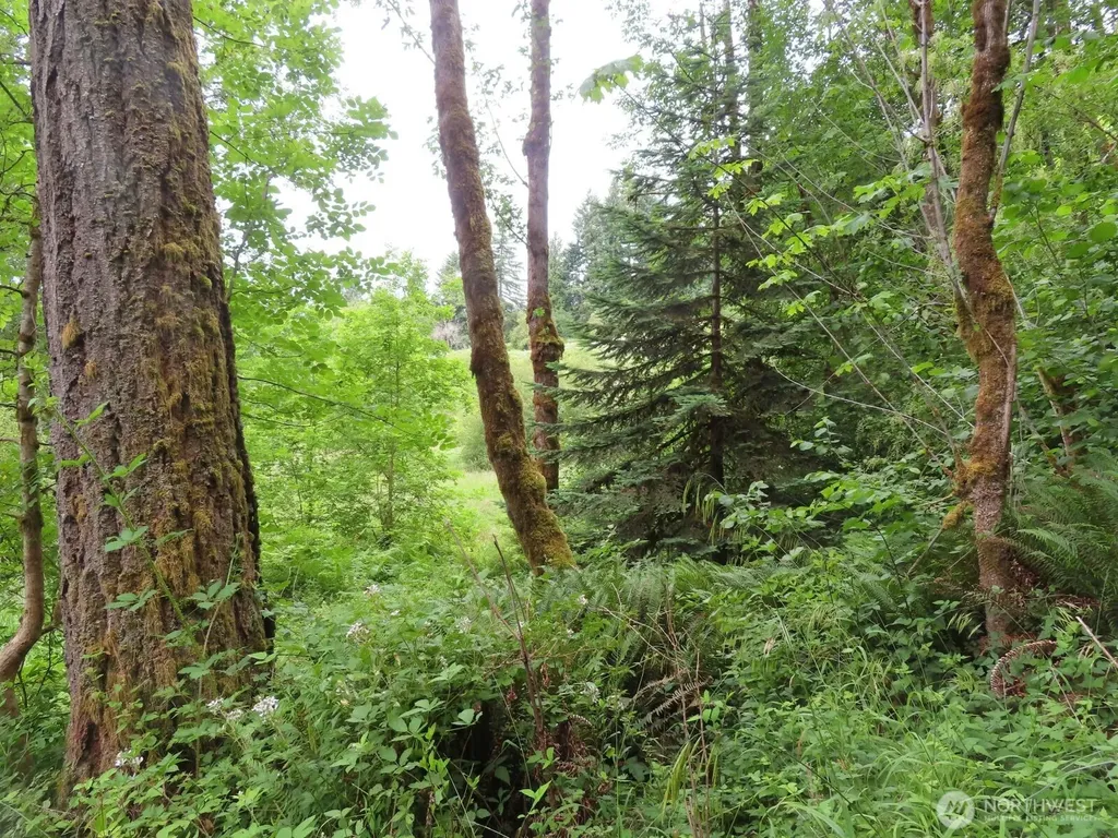 21720 Zenkner Valley Road SW Centralia WA 98531