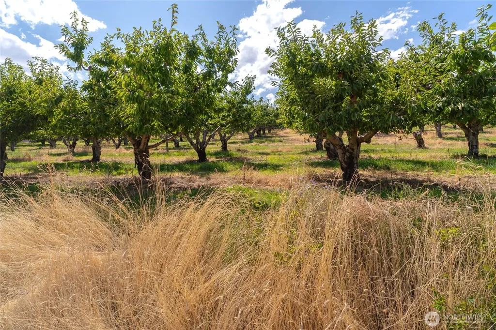 7199 Tarpiscan Road Malaga WA 98828