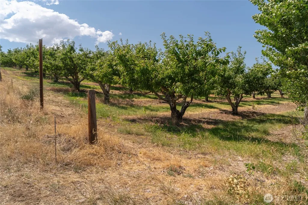 7199 Tarpiscan Road Malaga WA 98828