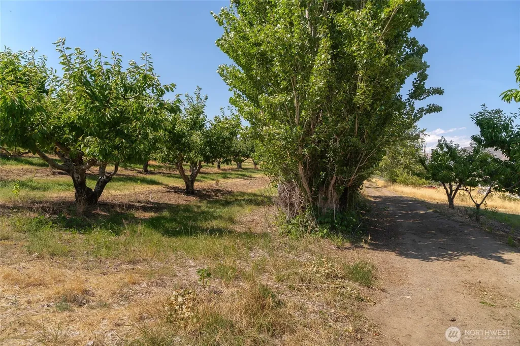 7199 Tarpiscan Road Malaga WA 98828