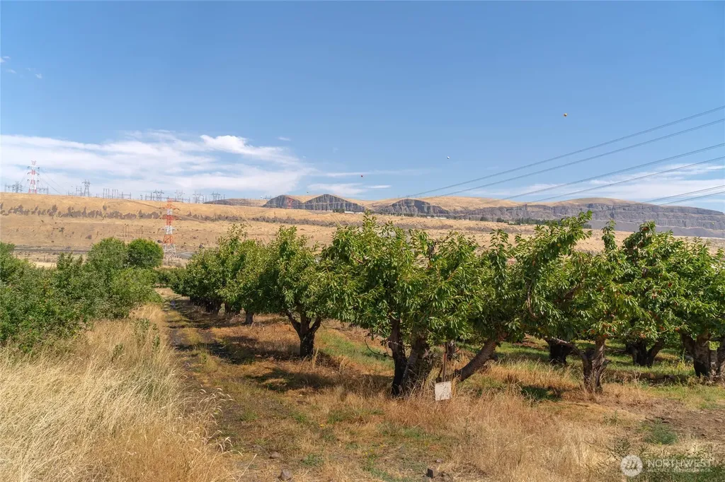 7199 Tarpiscan Road Malaga WA 98828