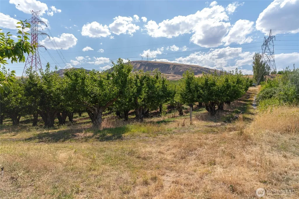 7199 Tarpiscan Road Malaga WA 98828