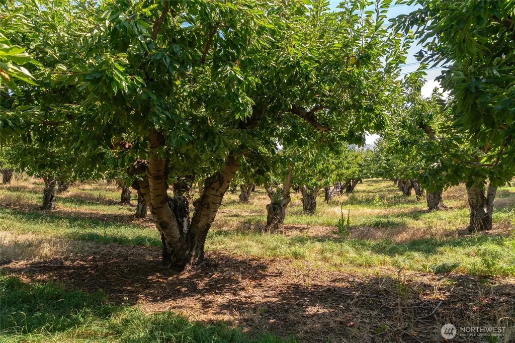 7199 Tarpiscan Road Malaga WA 98828