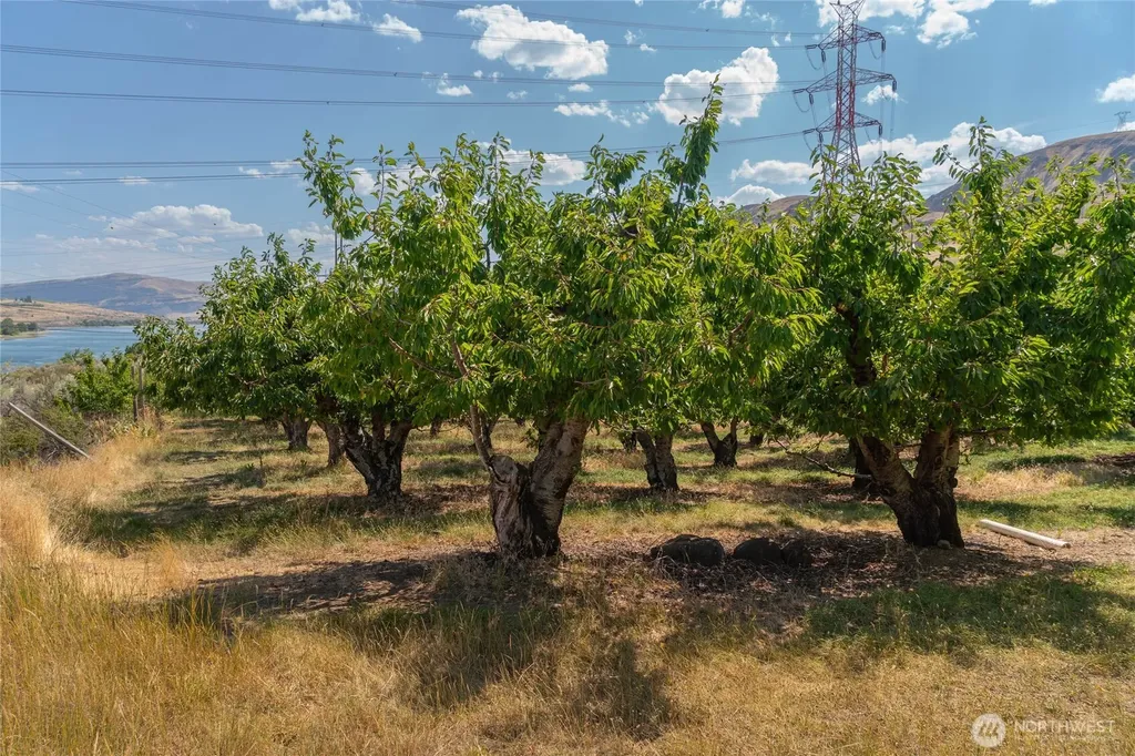 7199 Tarpiscan Road Malaga WA 98828