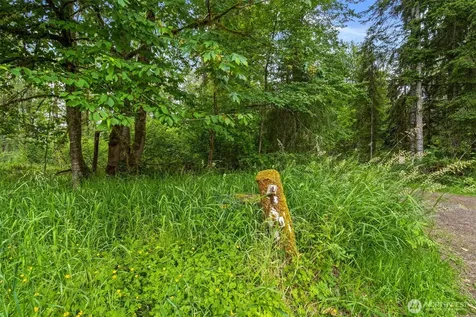 0 Harmony Lane Mossyrock WA 98564