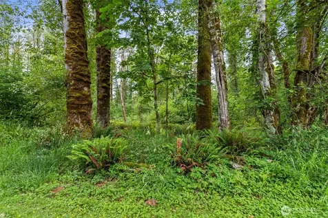 0 Harmony Lane Mossyrock WA 98564