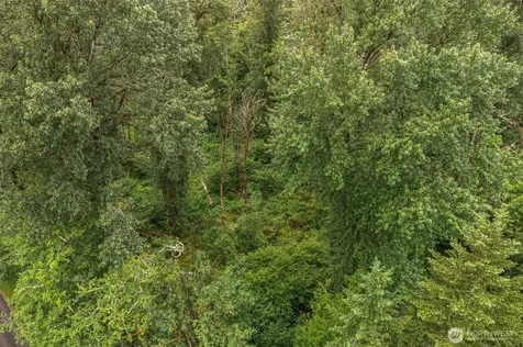 0 Harmony Lane Mossyrock WA 98564