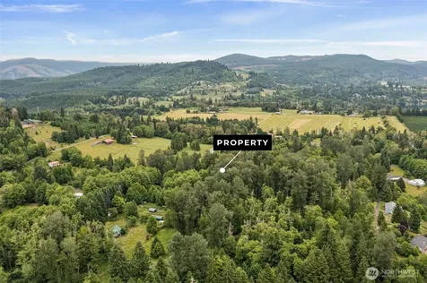 0 Harmony Lane Mossyrock WA 98564