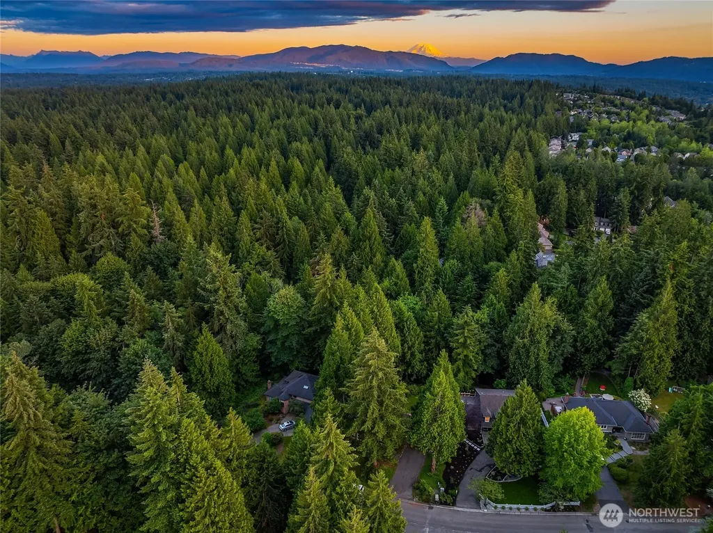 20603 NE 37th Way Sammamish WA 98074